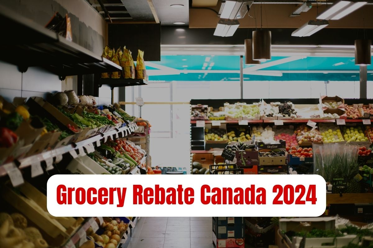 Grocery Rebate Canada 2024